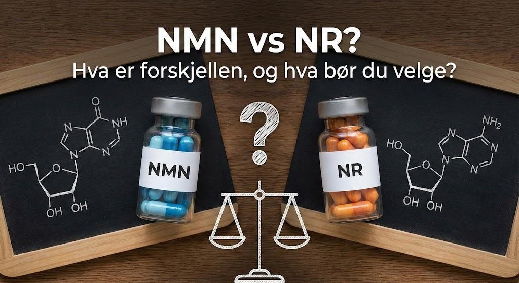 NMN vs NR? Hva er forskjellen, og hva bør du velge?